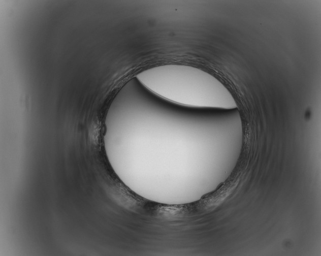 X0000100410139200806060934