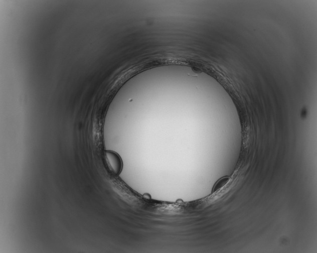 X0000100410140200806060933