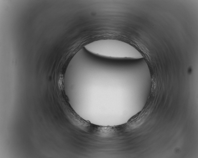 X0000100410141200806060933