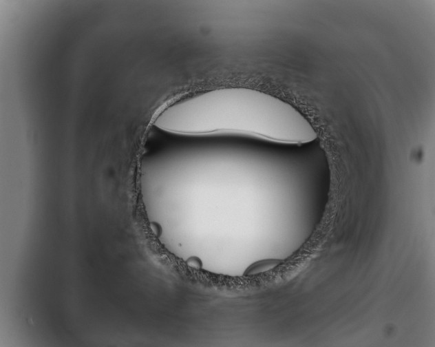 X0000100410144200806060933