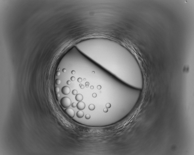 X0000100410145200806060933