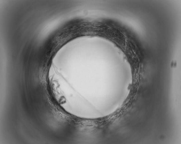 X0000100410146200806060933