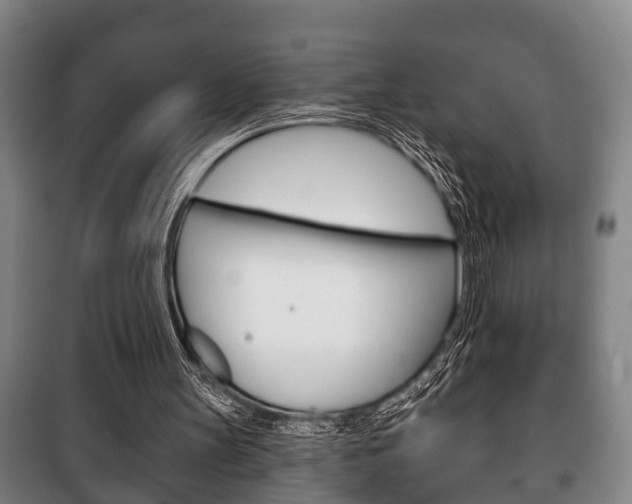X0000100410147200806060933