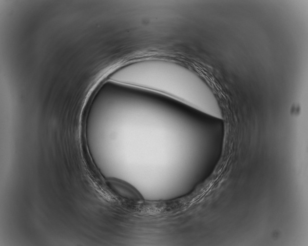 X0000100410148200806060933