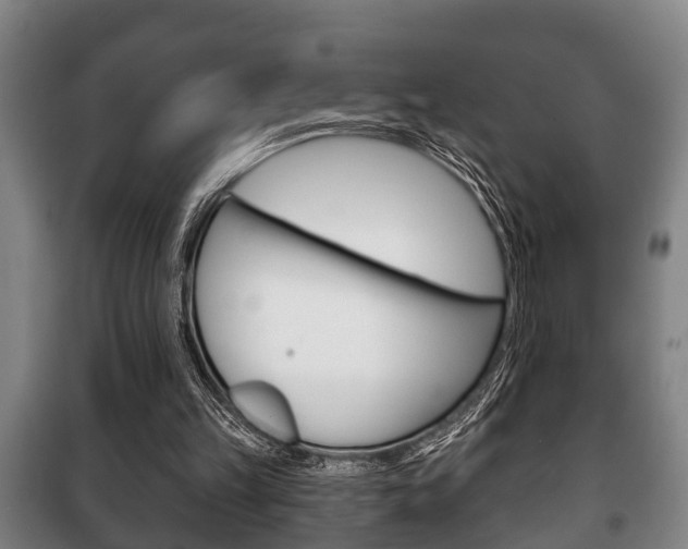 X0000100410149200806060933