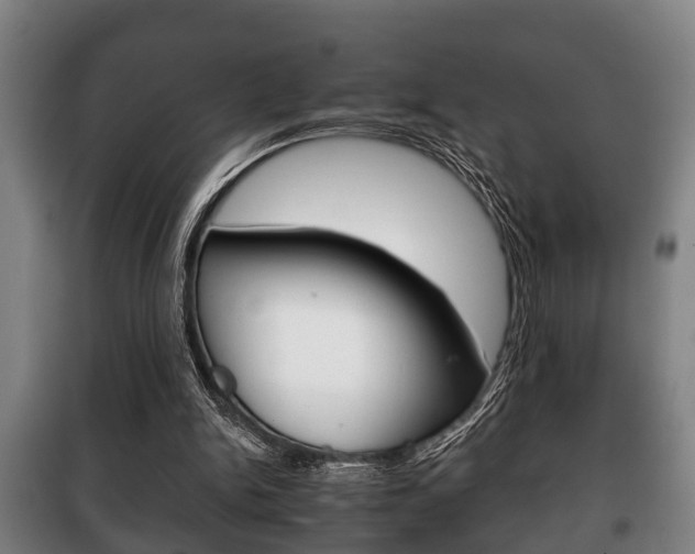 X0000100410150200806060933