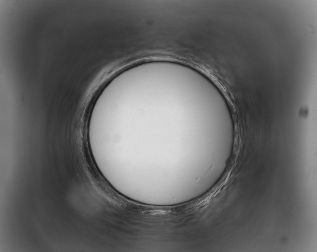 X0000100410151200806060933