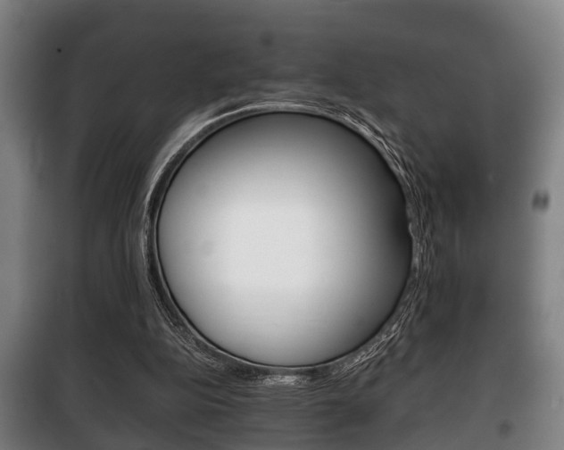 X0000100410152200806060933