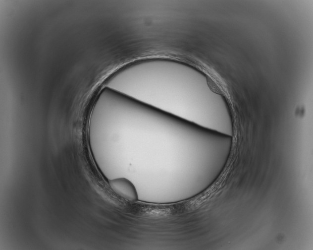 X0000100410155200806060933