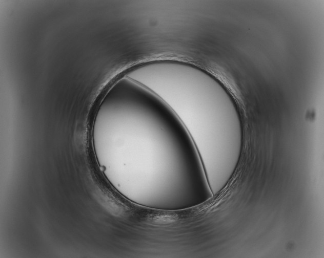 X0000100410156200806060933