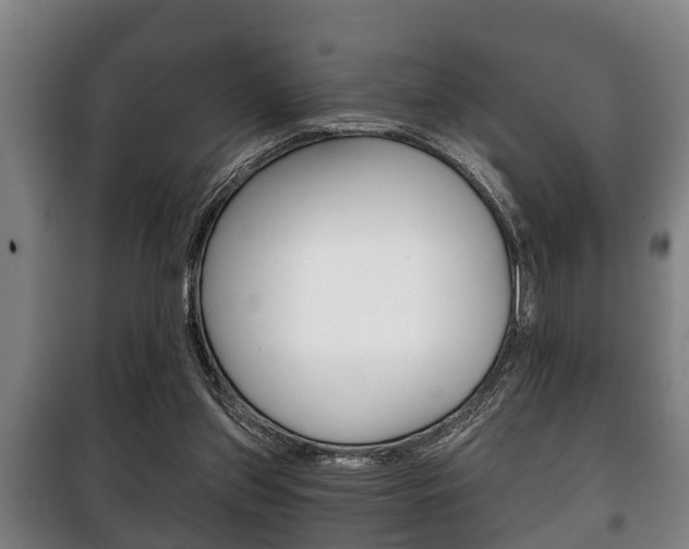 X0000100410157200806060933