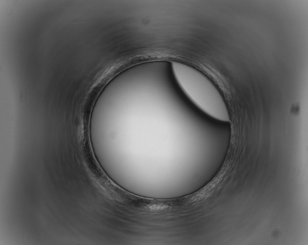 X0000100410158200806060933