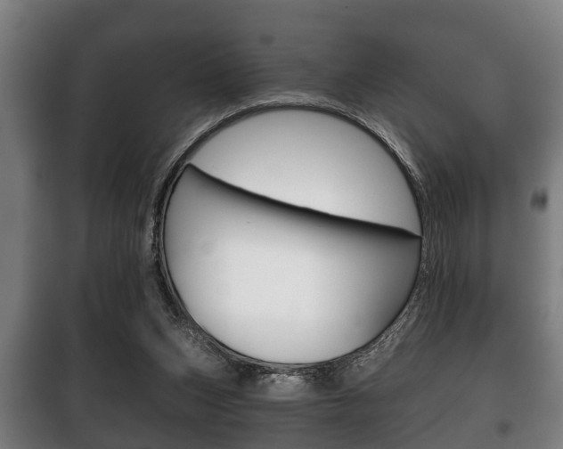 X0000100410159200806060933