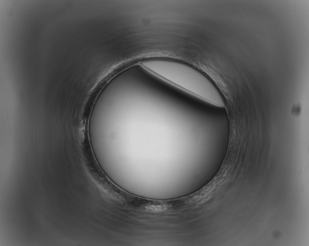 X0000100410160200806060933