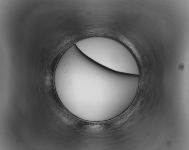 X0000100410161200806060933