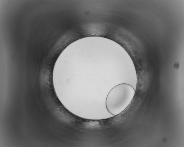 X0000100410162200806060933