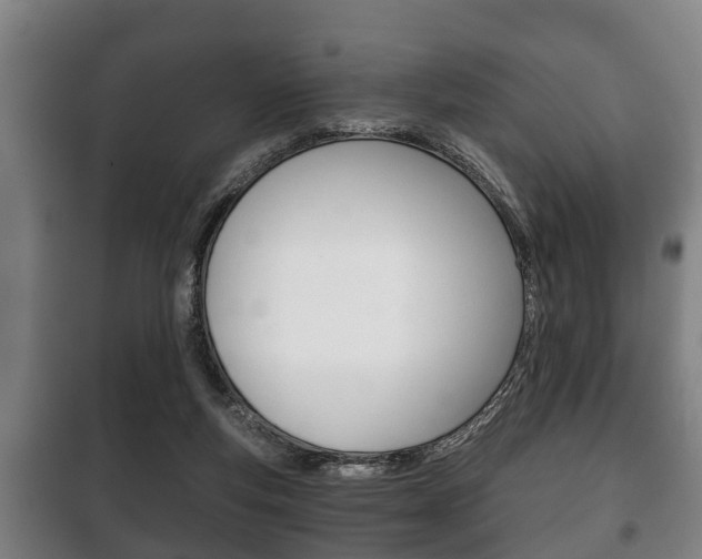 X0000100410163200806060933