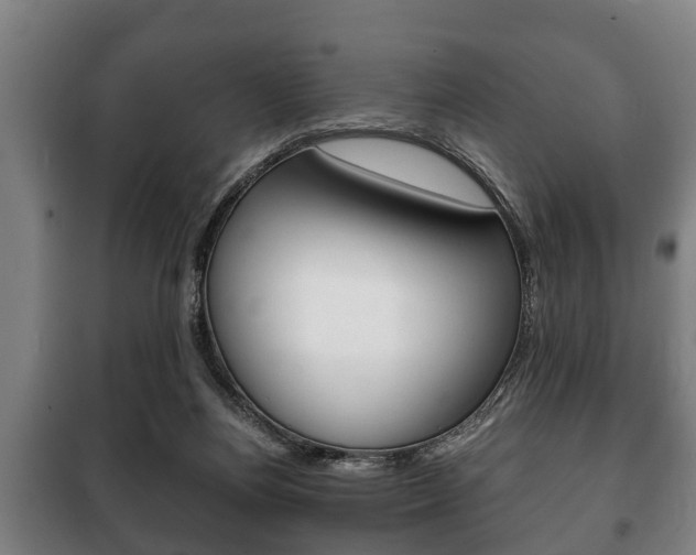X0000100410164200806060933