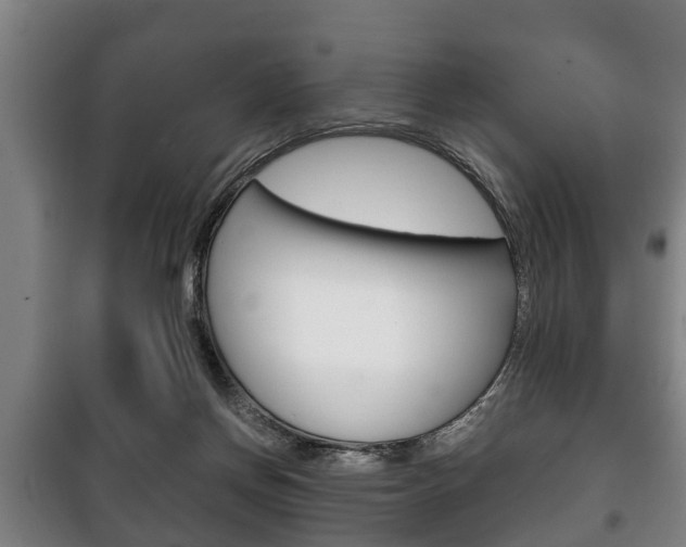 X0000100410166200806060933