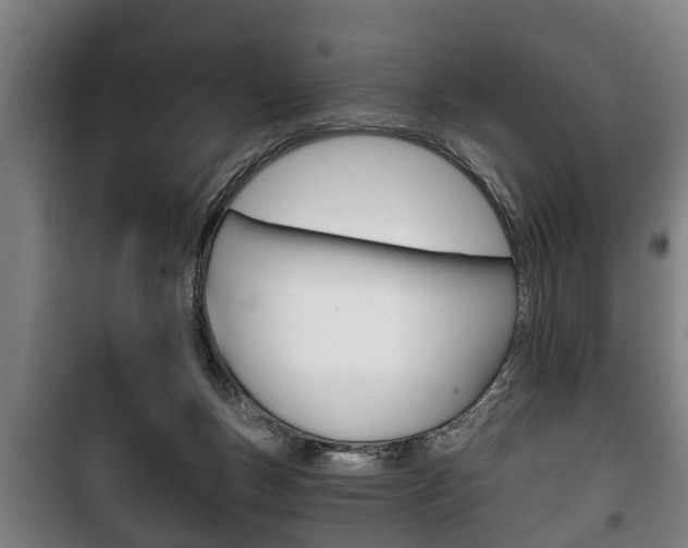 X0000100410167200806060933