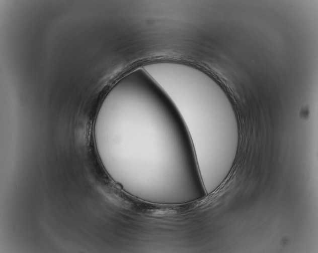 X0000100410168200806060933