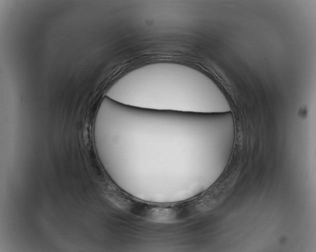 X0000100410169200806060933