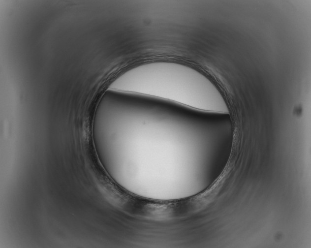 X0000100410170200806060933
