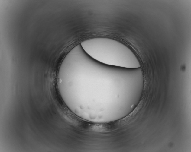 X0000100410171200806060933