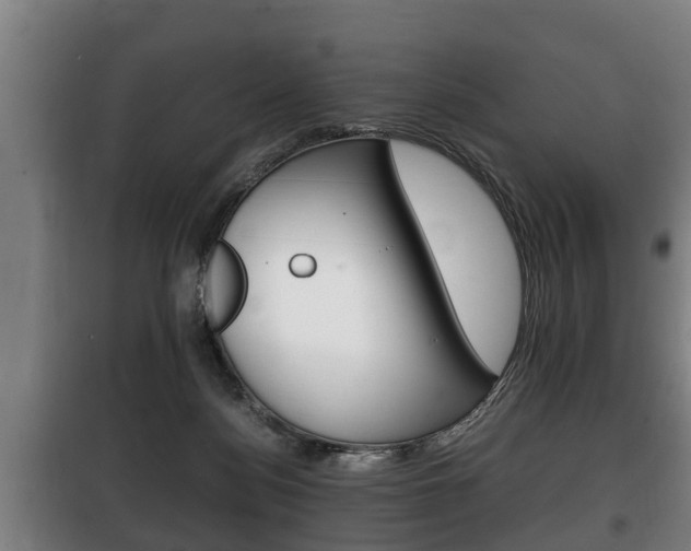 X0000100410172200806060933