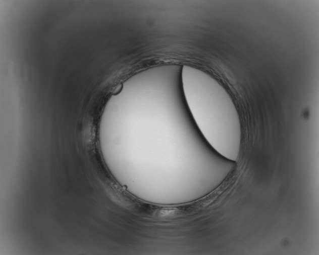 X0000100410173200806060933