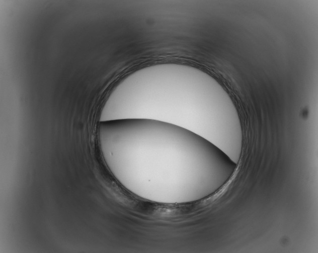 X0000100410174200806060933