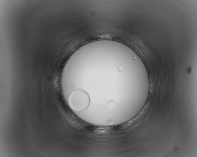 X0000100410175200806060933
