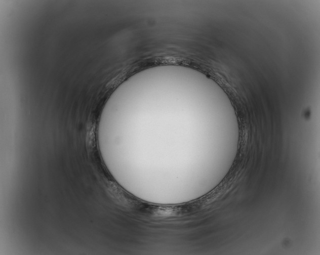 X0000100410177200806060933