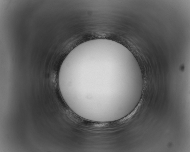 X0000100410178200806060933