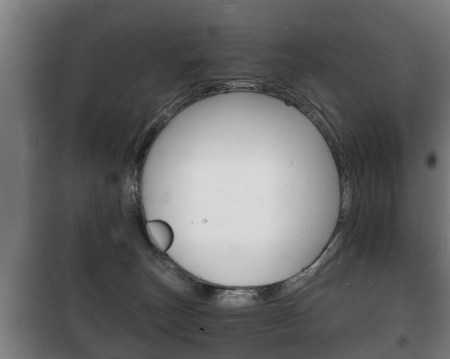 X0000100410179200806060933