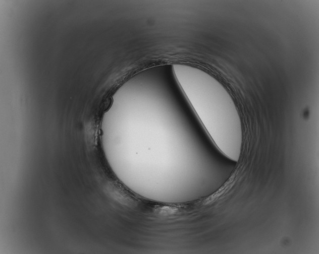 X0000100410180200806060933
