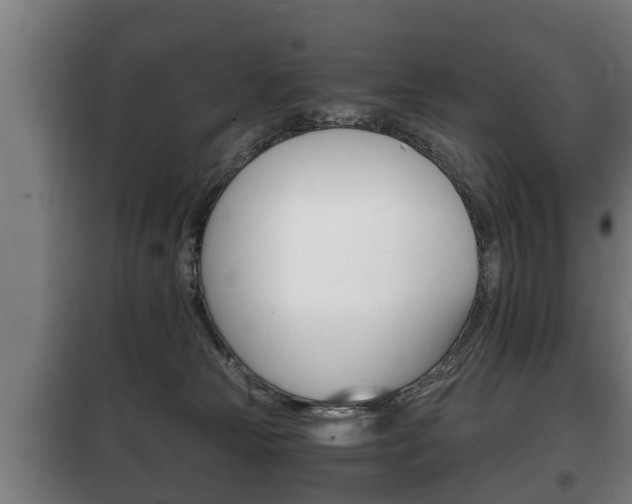X0000100410181200806060933