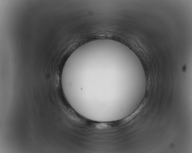 X0000100410183200806060933