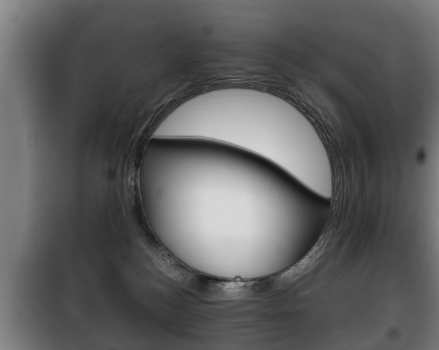 X0000100410184200806060933