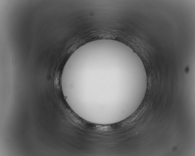X0000100410185200806060933