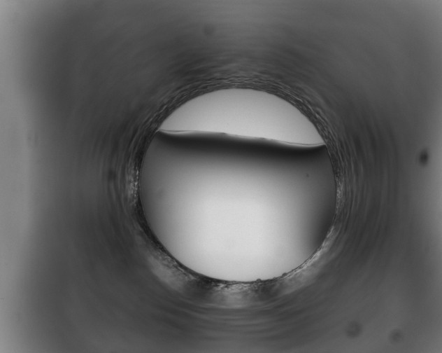 X0000100410186200806060933
