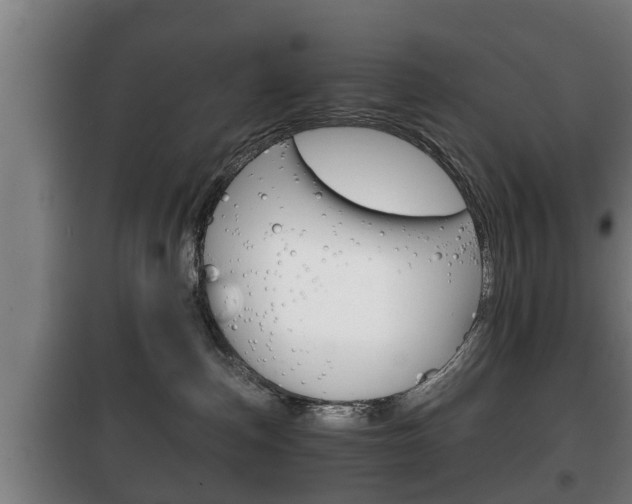 X0000100410187200806060933