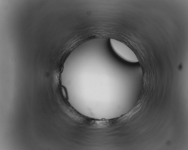 X0000100410188200806060933