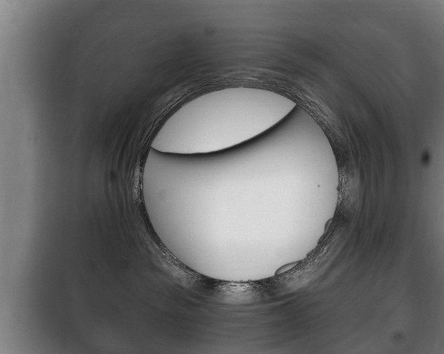 X0000100410189200806060933