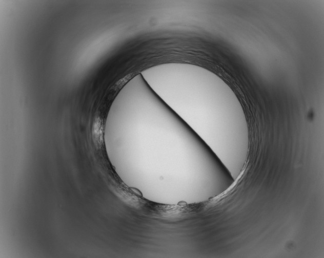 X0000100410191200806060933
