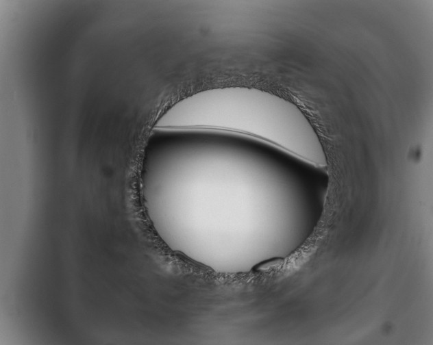 X0000100410192200806060933