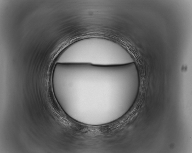 X0000100410194200806060933