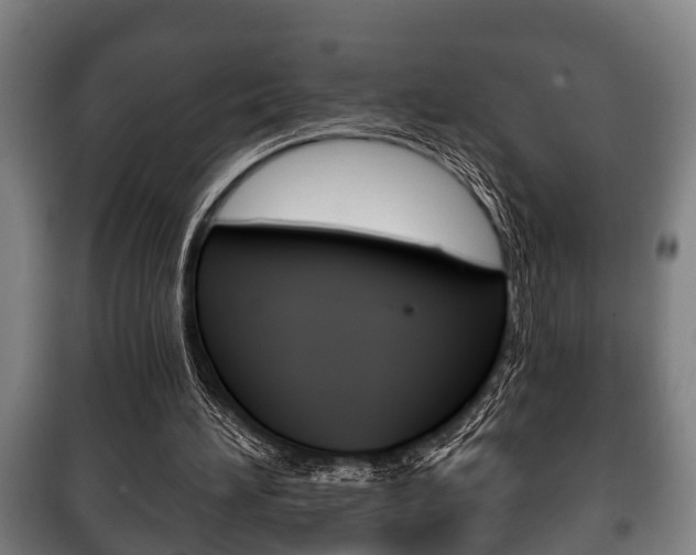 X0000100410196200806060933