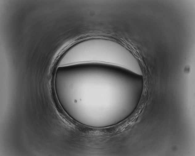 X0000100410197200806060933