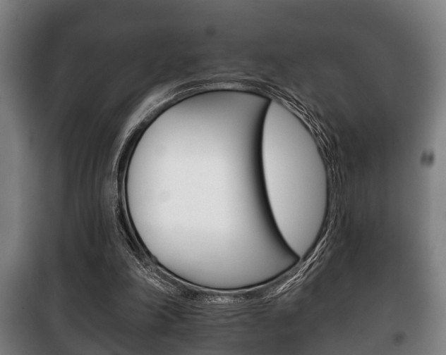 X0000100410198200806060933